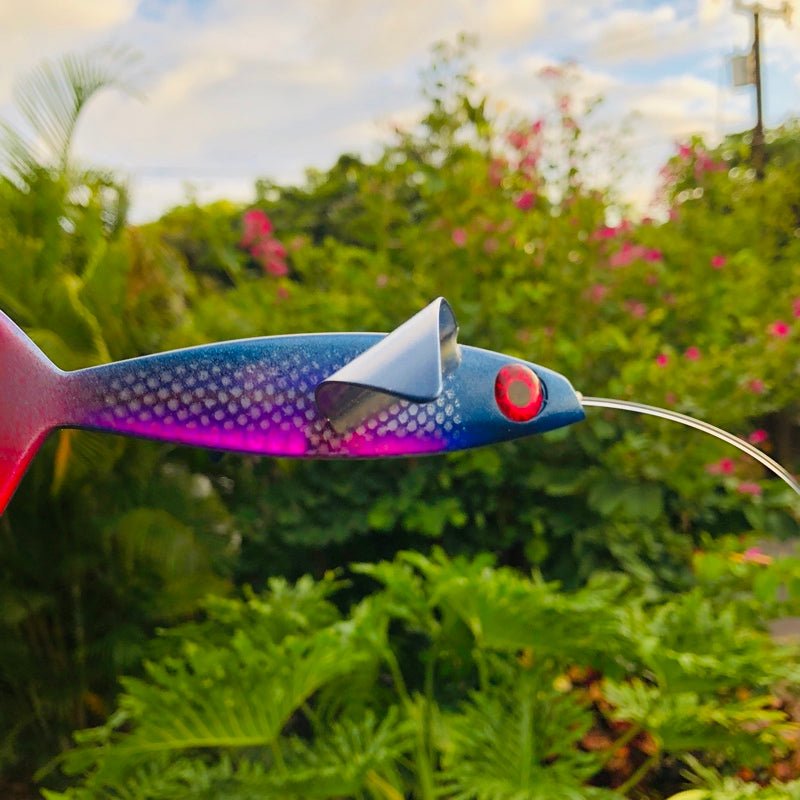 Maker Unknown-Malolo Flyer Bird Teaser - Older Model - Like New-New