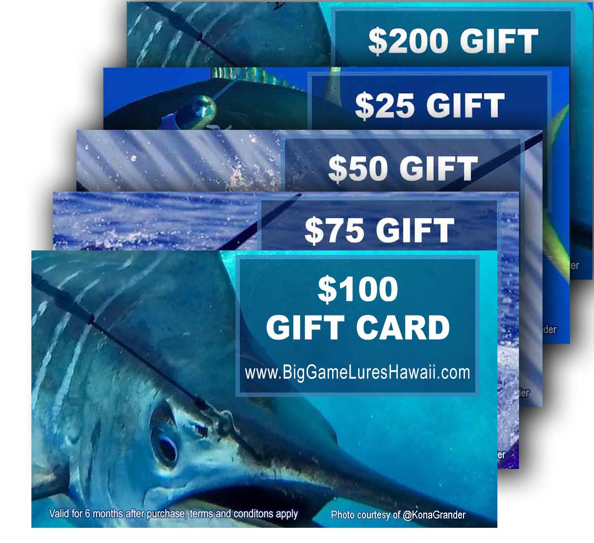 Big Game Lures Hawaii-Gift Cards - Give Your Favorite Fisherman Exactly What He Wants-Gift Cards