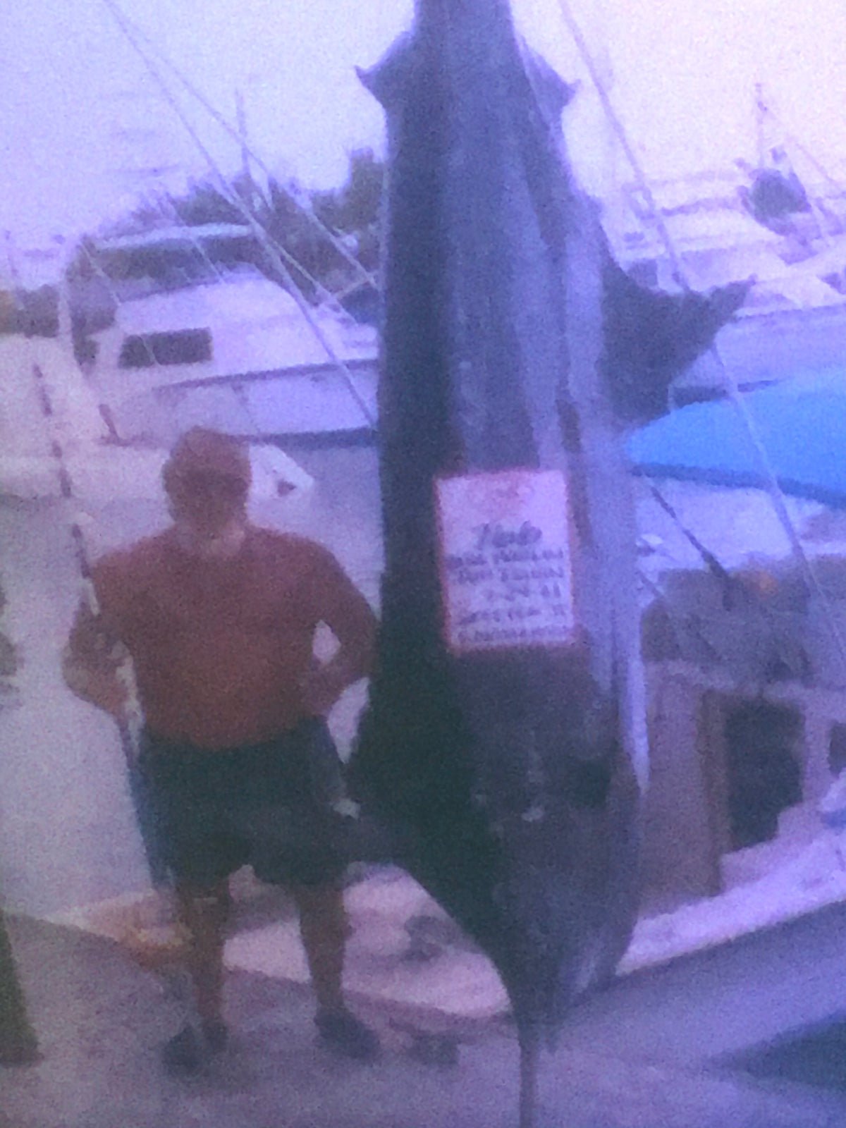 Coggin Lures-Vtg ORIGINAL Coggins Lures Tado Caught a 766 # Marlin - Lots of Bill Rash-Used Lures