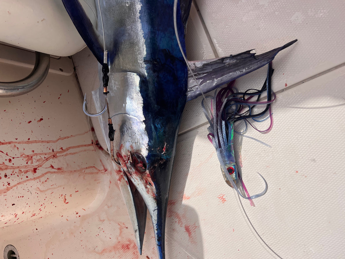 Bomboy Lures-Put the fish ON NOTICE ! See the Pics! Bomboy Lures MALOLO 9 Inch Baby Bomb Skirted-New Lures