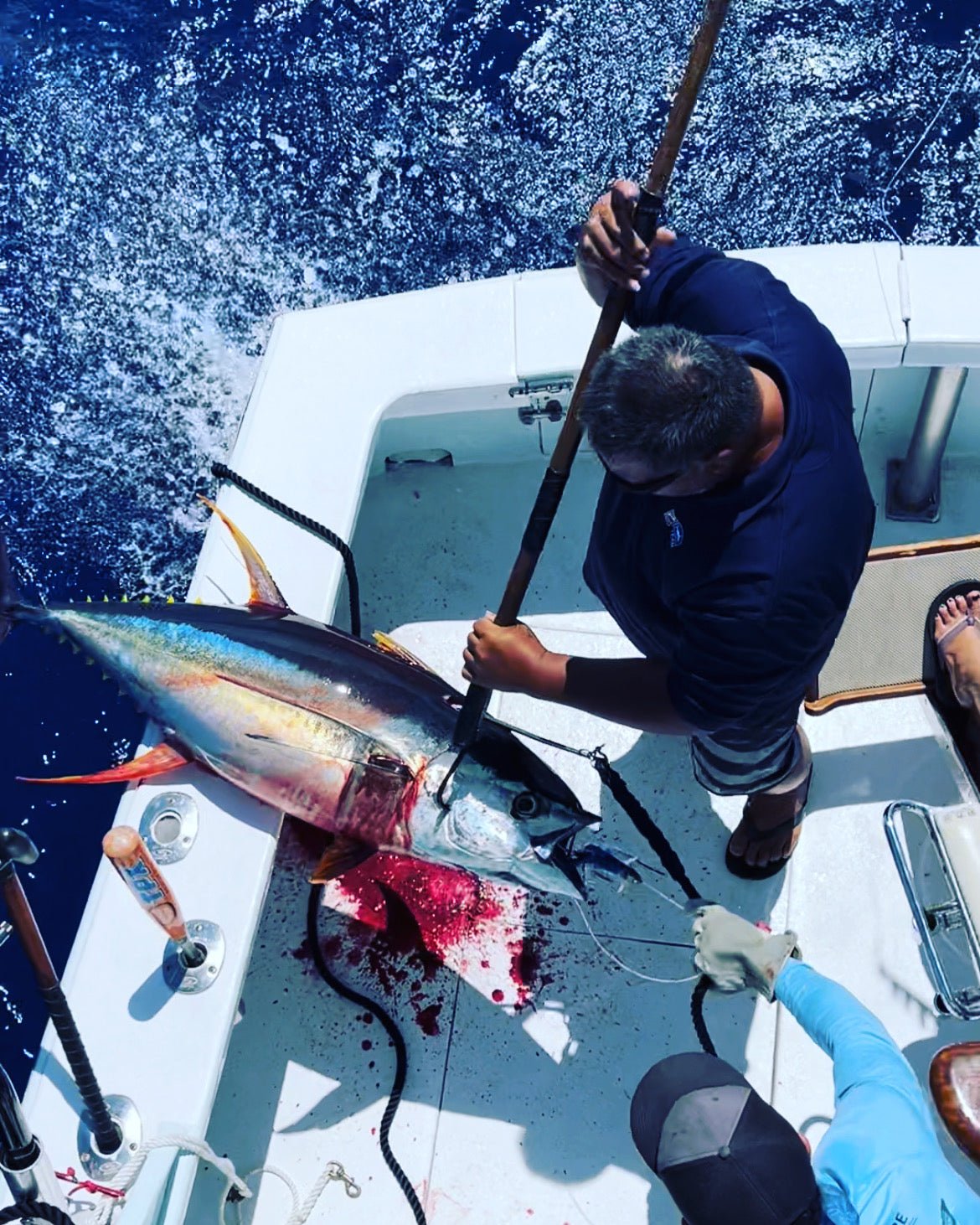 Bomboy Lures-Put the fish ON NOTICE ! See the Pics! Bomboy Lures MALOLO 9 Inch Baby Bomb Skirted-New Lures