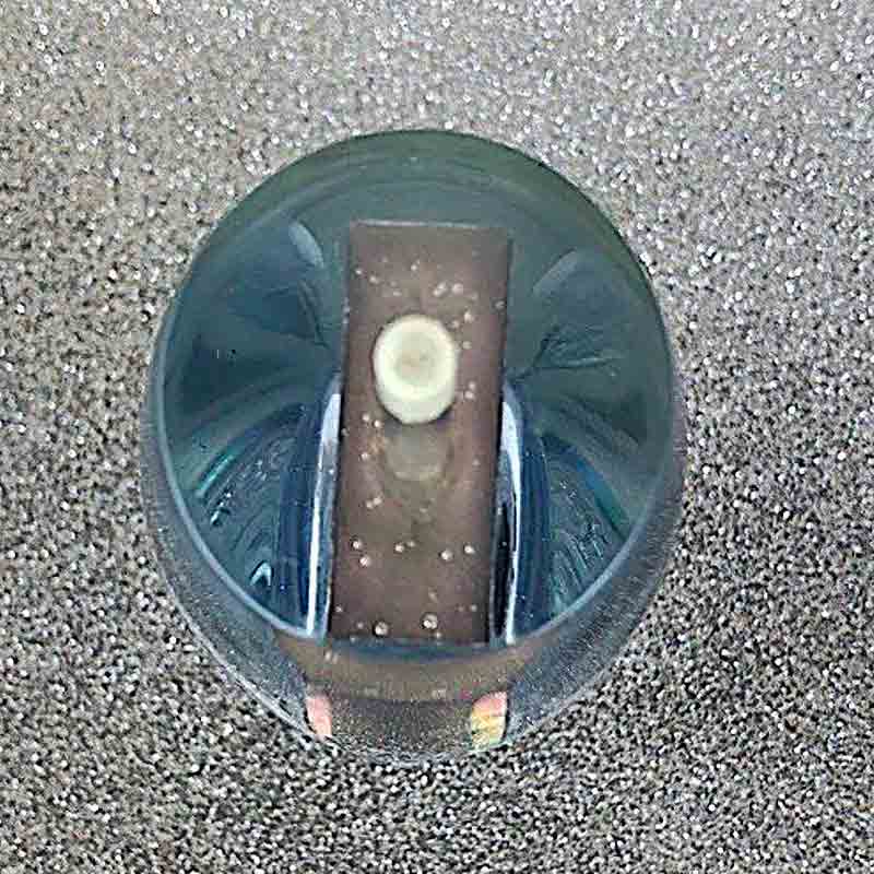 Joe Yee Lures-Joe Yee Super Plunger - Awabi Abalone Insert- New-New Lures